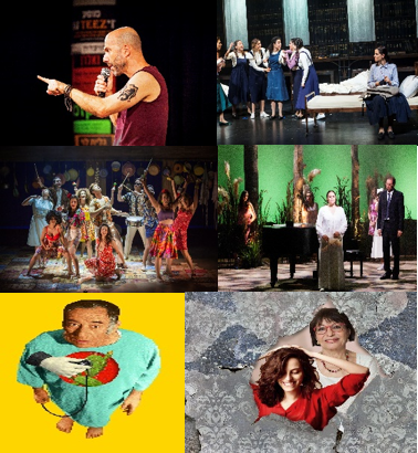 הצגות מבוגרים